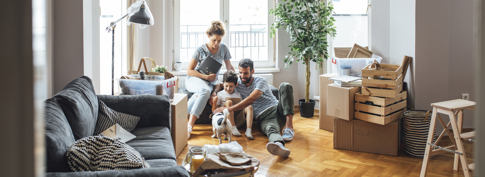 PACA Sécurité à Marseille, membre du réseau expert Vachette